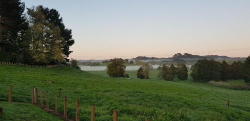 a green pasture with a fence and a field with trees at Waitomo Homestead Cabins in Waitomo Caves