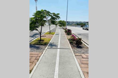 an empty street with palm trees and a road at CASABONITA fte alberca, AirAc in Alpuyeca