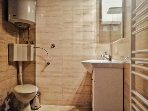 ein Bad mit einem WC und einem Waschbecken in der Unterkunft House Angie in Jezerce