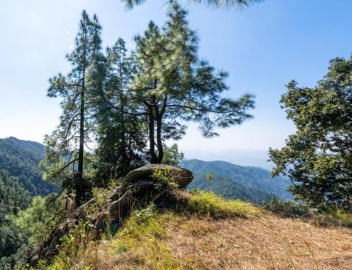 a view from the top of a mountain with trees at Mary Budden Estate in Almora