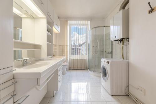 uma casa de banho branca com uma máquina de lavar roupa em Travel Homes - The Wooden, Spacieux & bon quartier em Mulhouse