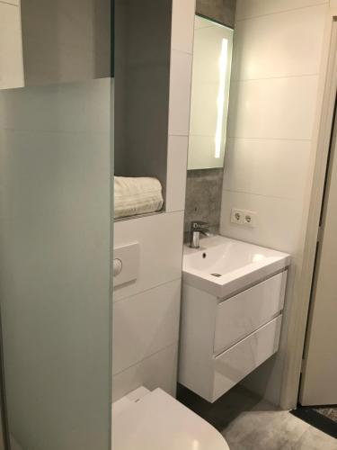 a white bathroom with a toilet and a sink at Boutique Hotel en B&B De Zwammenberg in De Moer