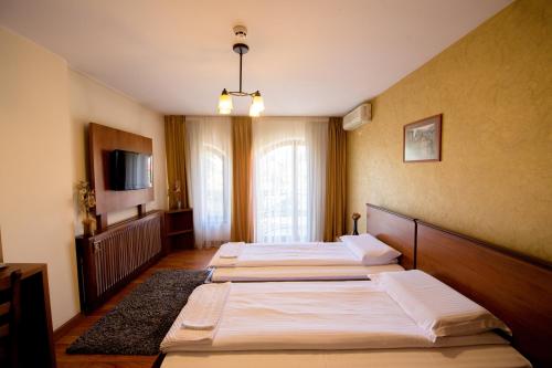 a bedroom with two beds and a television in it at Pensiunea Normandia in Timişoara