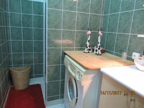 y baño de azulejos verdes con lavadora. en rossignol, en Chatuzange-le-Goubet