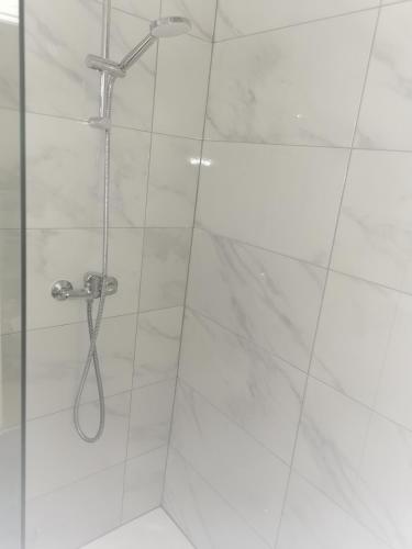 une douche avec une porte vitrée dans une salle de bain dans l'établissement La Charmille, charmant 2P proche tram, à Strasbourg