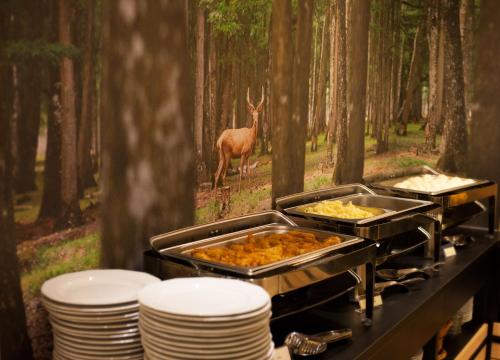 Deux plateaux de nourriture sur une table avec un cerf dans les bois dans l'établissement Hotel Fero Lux, à Korbielów