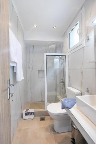 a bathroom with a toilet and a glass shower at The House Of The Roses in Yerakiní