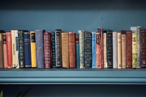 a row of books sitting on a shelf at The Brown's Hotel in Laugharne