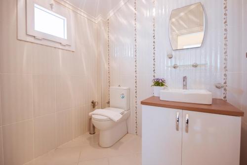 a bathroom with a toilet and a sink and a mirror at Infinity Olympia Apartments in Oludeniz