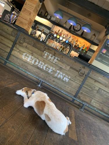 The George Inn Middle Wallop – Photos 3