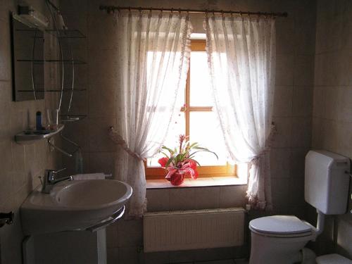 bagno con lavandino, servizi igienici e finestra di Reiterhof Stöglehner a Rainbach im Mühlkreis