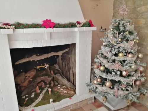 Φωτογραφία από το άλμπουμ του B&B Maremma's dream σε Catabbio