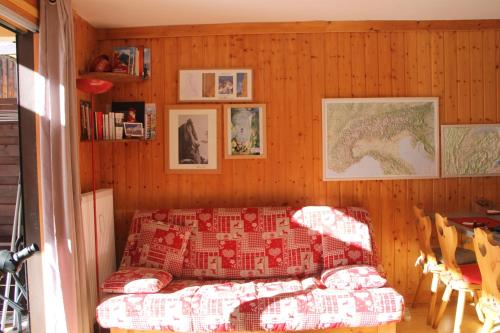 夏慕尼白朗峰的住宿－Comfortable Apartment With Terrace In Chamonix，客厅配有沙发和墙上的照片