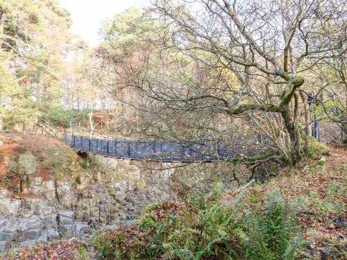 a blue bridge over a river in a forest at October Cottage in Barnard Castle