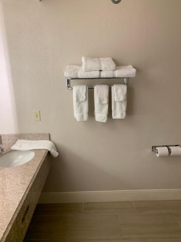 a bathroom with a sink and towels on a wall at Wingate by Wyndham Brighton in Brighton