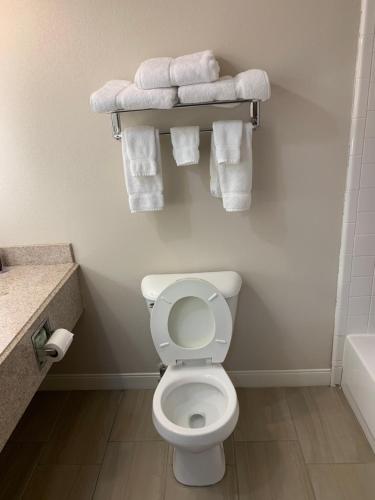 a bathroom with a white toilet and towels at Wingate by Wyndham Brighton in Brighton