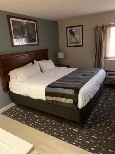 a bedroom with a large bed in a room at Wingate by Wyndham Brighton in Brighton