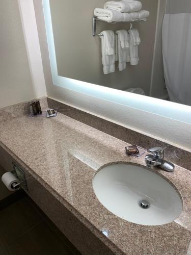 a bathroom counter with a sink and a mirror at Wingate by Wyndham Brighton in Brighton