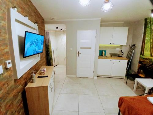 Dapur atau dapur kecil di Apartamenty w Puszczy