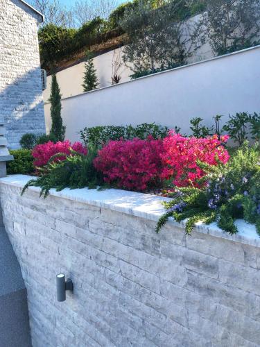 Gallery image of Villa Stefina in Kotor