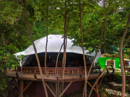 Jardin de l'établissement Trekker Glamping - EcoLodge Boutique