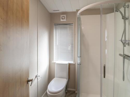 a bathroom with a toilet and a shower at Sea Holly Lodge in Saltburn-by-the-Sea