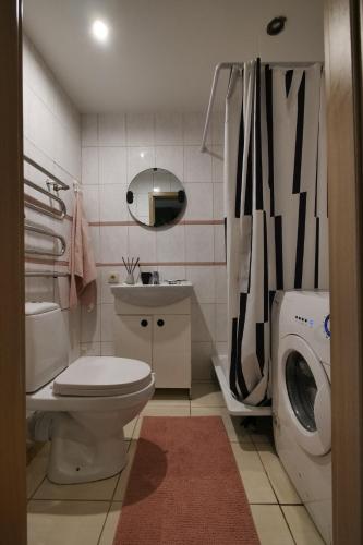 a bathroom with a toilet and a washing machine at Forrest Visaginas - Studio apartment in Visaginas