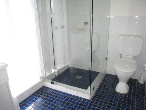a bathroom with a toilet and a glass shower at Country Lodge Motor Inn in Bathurst