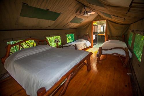 una camera con 2 letti in una tenda di Rafiki Safari Lodge a Savegre