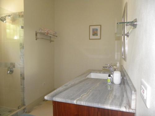 a bathroom with a sink and a shower at Ultimate Chill Montego Bay in Montego Bay