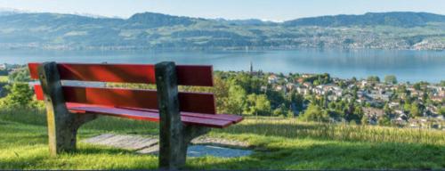 a red bench sitting on a hill overlooking a lake at House of Harmony in Stäfa