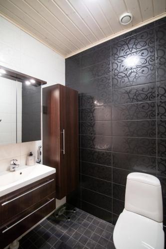 a bathroom with a toilet and a sink and a mirror at Ettomies II in Äkäslompolo