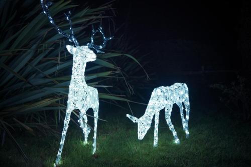 two sculptures of giraffes are lit up at night at NORTHRISE RETREAT in Hastings