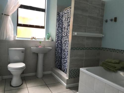a bathroom with a toilet and a sink and a tub at Arnheim Guest Cottage in Robertson
