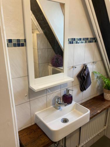 a bathroom with a sink and a mirror at Wohnung in Lüneburg in Lüneburg
