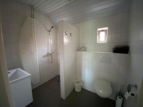 a white bathroom with a toilet and a sink at Bed and breakfast de Boerderij in Albergen