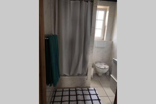 y baño con cortina de ducha y aseo. en Apartamento en La Pared Fuerteventura vista mar en Pájara