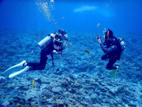 two people in the ocean taking pictures of fish at Sunset Beach Vacation House in Chatan