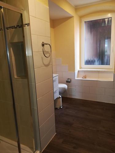 a bathroom with a toilet and a window at Ferienwohnung Fam. Hähle in Burgstaedt