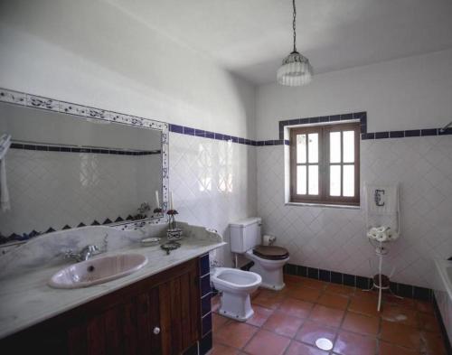 un bagno con lavandino e WC di Quinta do Vale Grande ad Albergaria-a-Velha