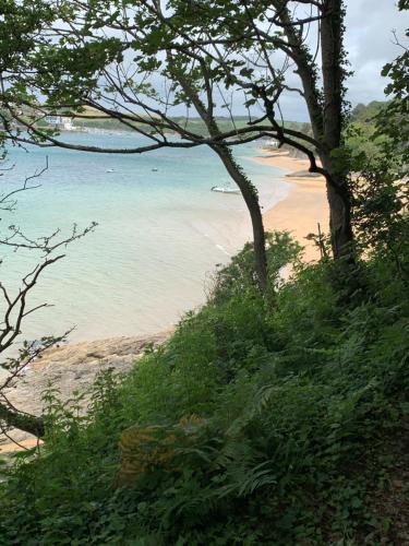 a view of a beach with a boat in the water at Driftwood Lodge in Salcombe