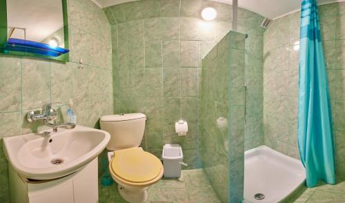 e bagno con lavandino, servizi igienici e doccia. di Pensiunea Panorama a Băile Tuşnad