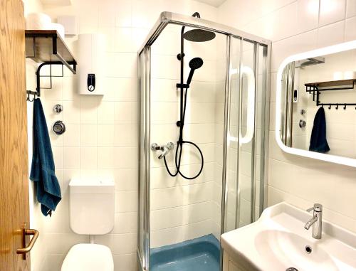 a bathroom with a shower and a toilet and a sink at Winterberger Lodge in Winterberg