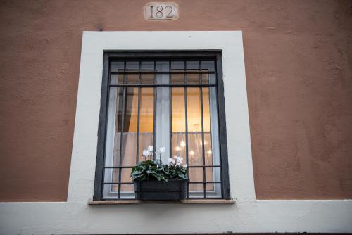 Billede fra billedgalleriet på Sweet Arco Farnese i Rom