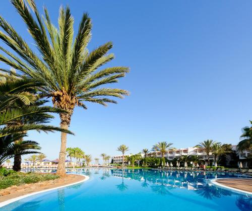 a palm tree in the middle of a swimming pool at Iberostar Waves Founty Beach All Inclusive in Agadir