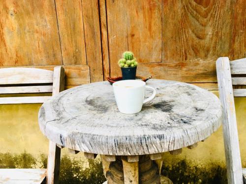 eine weiße Kaffeetasse auf einem Tisch mit einem Kaktus in der Unterkunft Vimarnkiri Resort in Pai