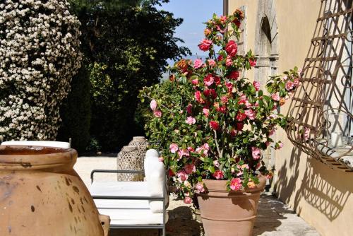 Κήπος έξω από το Villa Cicolina