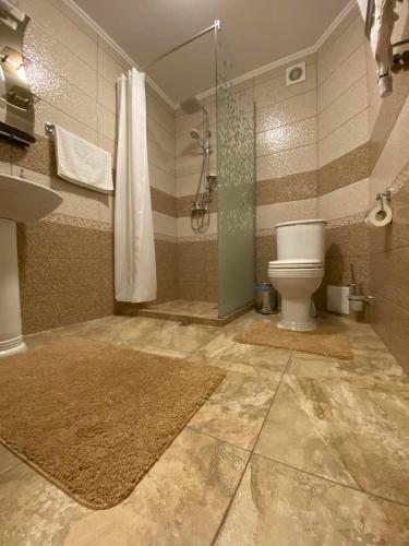 a bathroom with a shower and a toilet and a sink at Сонячне Джерело in Polyana
