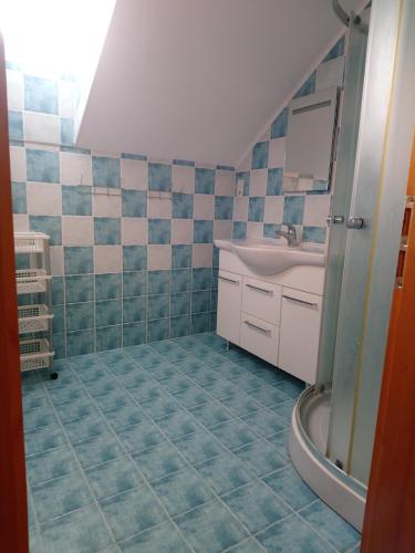 ein kleines Bad mit einem Waschbecken und einer Dusche in der Unterkunft Chalupa Trosenka in Troskovice