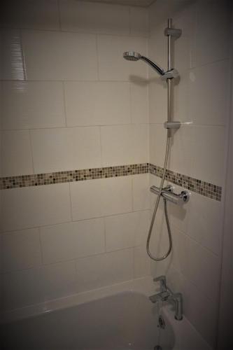 a bathroom with a bath tub with a shower at Palmers Apartment A in Bristol